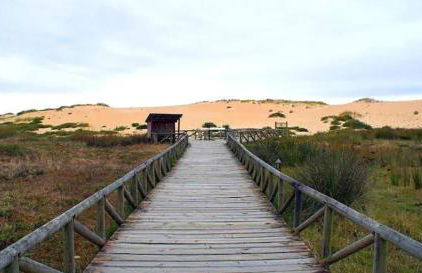 Fusión de sensaciones, ático con espectaculares vistas - Foto 33