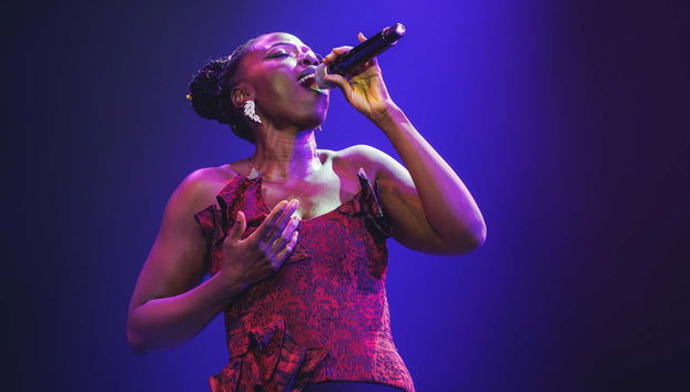 WAH Show Tickets - Foto 3