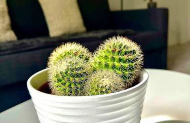 Le Loft de Barbizon - Foto 18