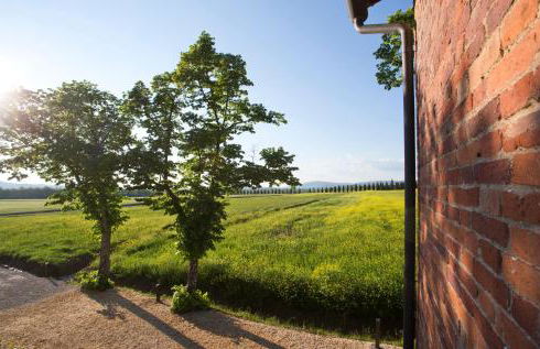 Casale San Galgano - Foto 92