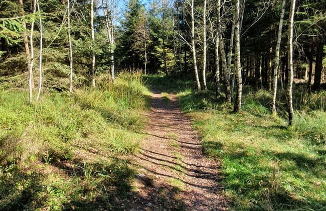 Traditional Chalet with Garden near Malmedy & Hautes-Fagnes - Foto 26