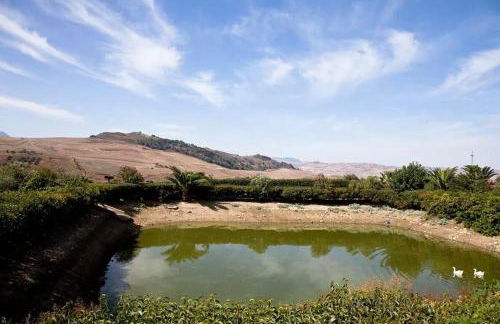 Agriturismo Al Lago Verde - Foto 64