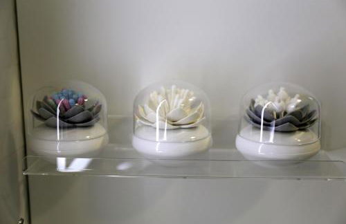 Jungle Paradise - Foto 33