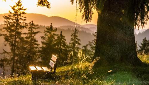 Ferienwohnung Sunneschii, Höchenschwand - Foto 3