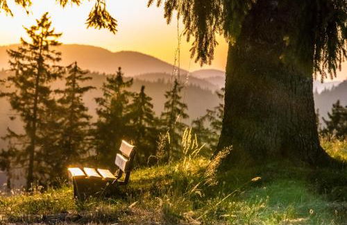 Fewo Sunneschii, Höchenschwand, Dorf am Himmel, Sauna im Haus - Foto 3