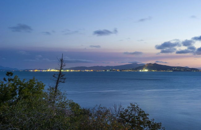 Driftwood - Photo 12