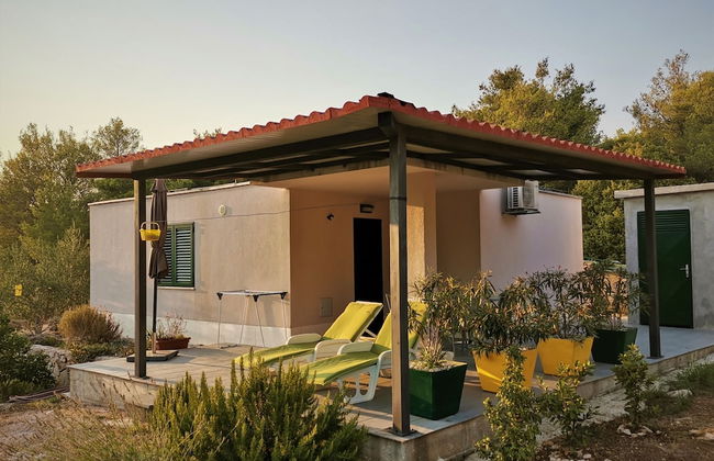 Olive Eden - Foto 48