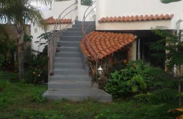 Finca las Palmeras - Foto 40