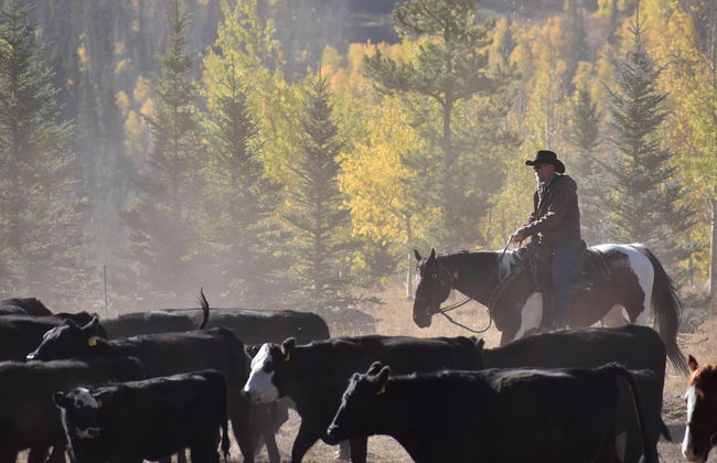 Vista Verde Ranch All-inclusive - Adults Only - Foto 30