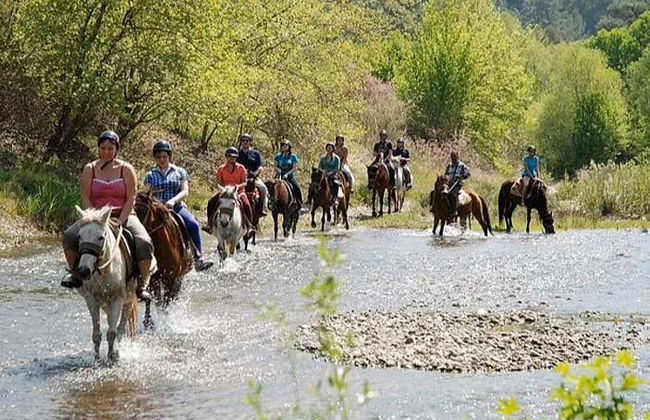 Horseback Riding in Bodrum - Foto 3