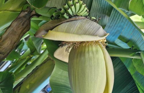 Apartmenthaus Wertheim - Foto 18