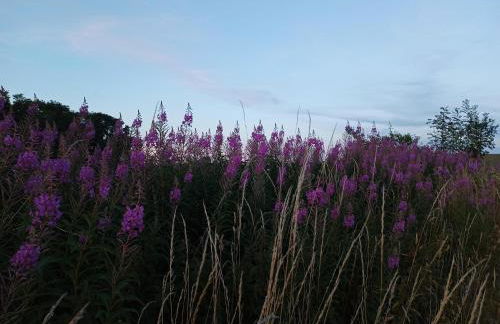 The Stables at Eriviat Hall - Foto 71