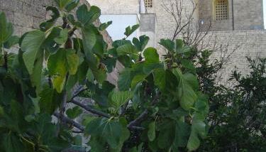 Corte Del Campanaro - Foto 4