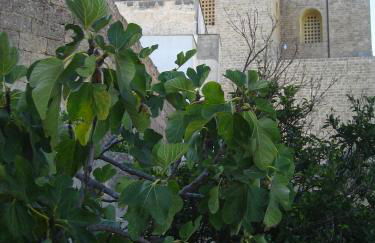 Corte Del Campanaro - Foto 4