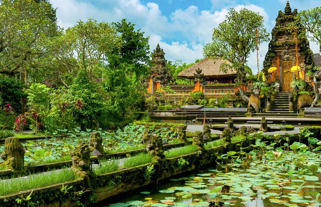 Visita guiada por Ubud - Foto 1