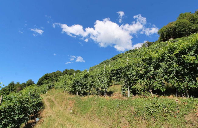 Belvilla by OYO Riva dei Tor - Foto 27