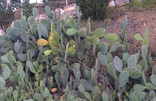 panato's home - Photo 9