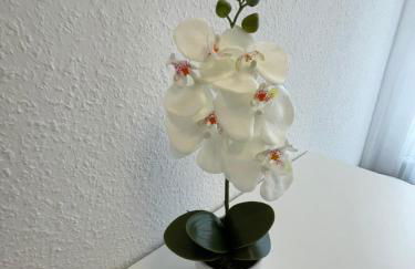 LUCKY STAYS LS07 - Vollausstattung - Zentrum - Aufzug - große Küche - 2 Zimmer - Smart-TV - Foto 56