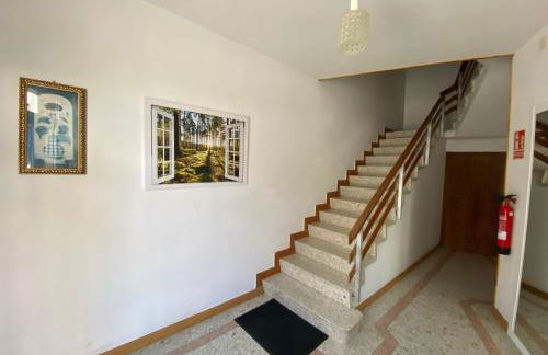 Lar dos Galos 2 - Foto 15