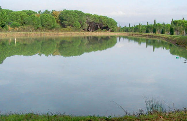 Belvilla by OYO Appartamento lo Scoiattolo - Foto 38