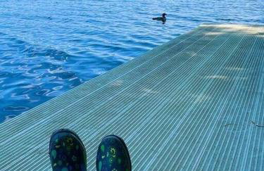 Island Tent Overlook in Maine - Foto 23