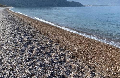 Georgia Psatha - Foto 28