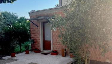 L'Olivo - Foto 3, Garden, Garden view