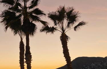 Paraiso del Sol - Foto 30