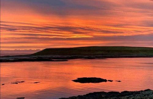 Island View - Foto 28