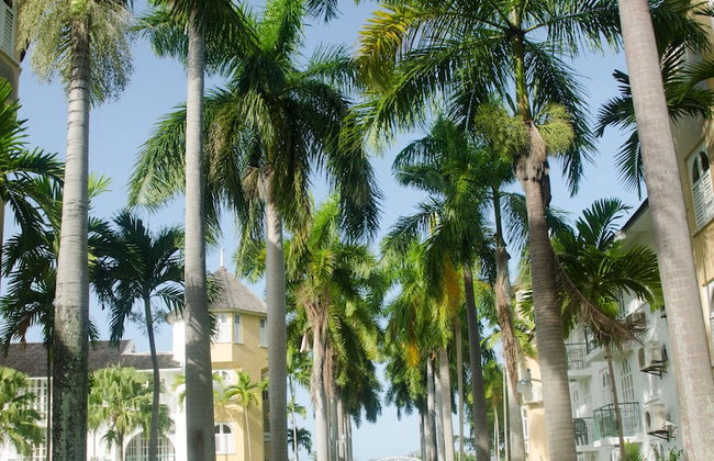 White Sands at Sandcastles - Foto 19