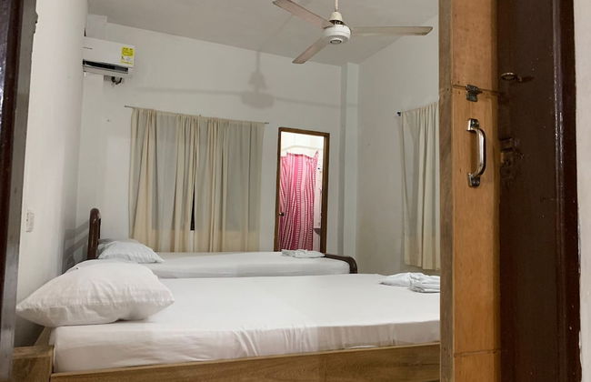 Las acacias Tolu - Foto 34