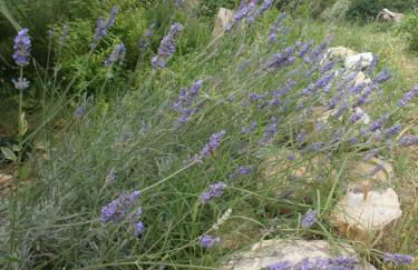 Monolocale di Meo - Foto 30