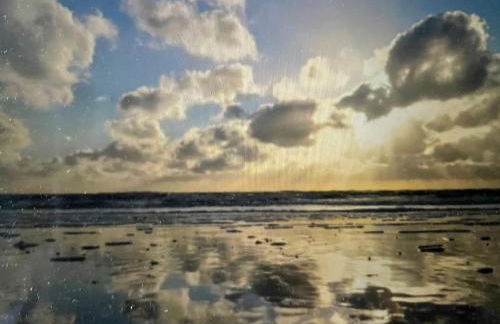 Nordseeküste am Deich mit schönem Garten - Foto 27