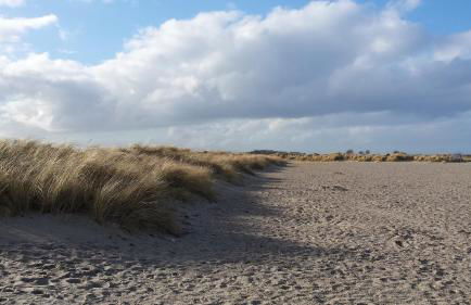 Haus am Teich - Teichblick - Foto 26