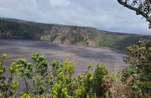 Paradise Park Newly built studio with king bed - Photo 17