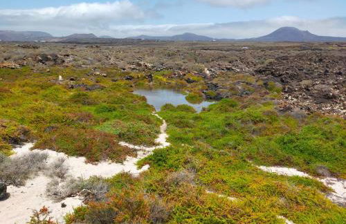 Casa Leiva - Foto 30