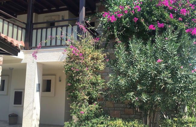 Villanaz Apart Hotel - Photo 22