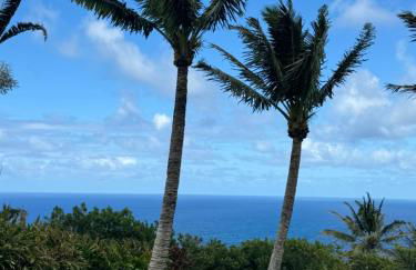 Maui Eco Retreat - Foto 20