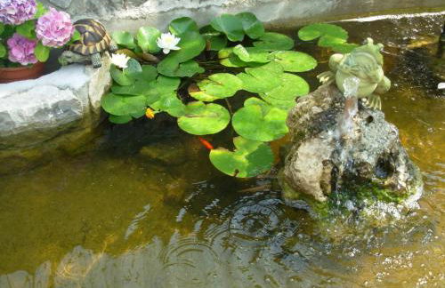 Villa Due Leoni - Residence - Foto 28