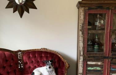 Valentine's Northern New Mexico Mountain Ranch on Colorado Border retreat - Foto 8