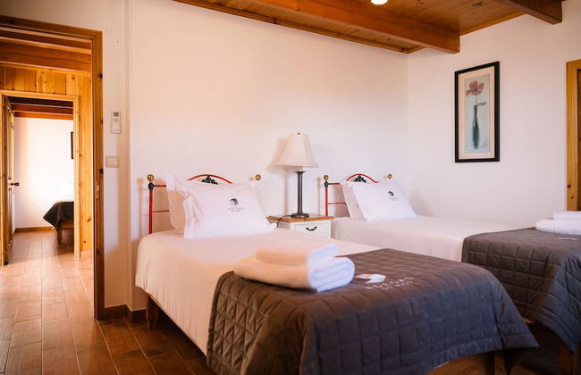 Adegas do Pico - Foto 30