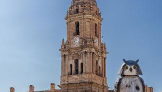 Apartamentos Gibralfaro Centro - Foto 2, Other