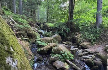 Ciao Fewo Birkenwald 你好白桦林民宿 - Foto 2