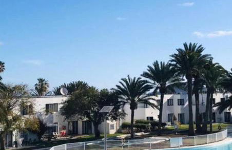 Little Diamond - Photo 6