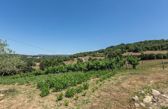 Lo Specchio Di Alice - Foto 30