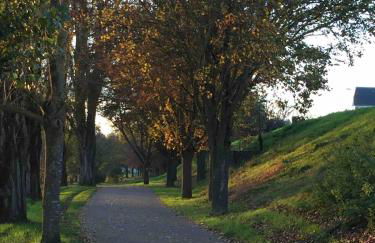 Jolie maison avec jardin proche du centre ville mais au calme comme à la campagne - Photo 18