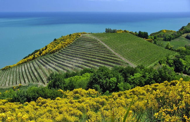 Casa Mare Vallugola di Gabicce, Vallugola - Foto 18