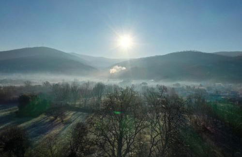 Quinta do Areal - Foto 44