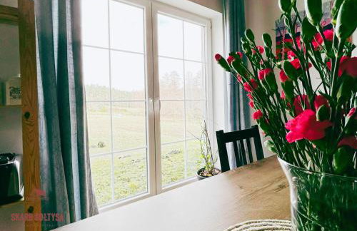 Skarb Sołtysa - apartament z widokiem - Photo 6