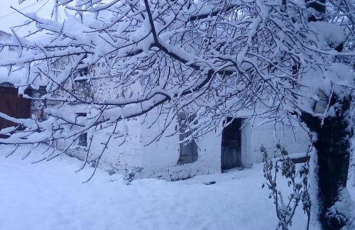 Ginî Viñis - Foto 35